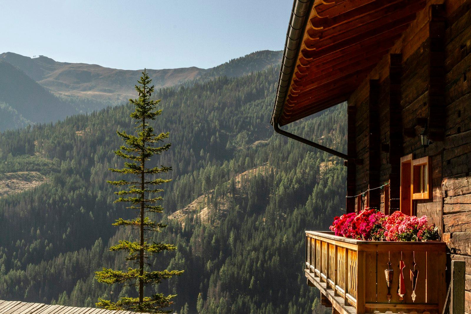 A Tyrolean chalet balcony in flower above a forested alpine valley