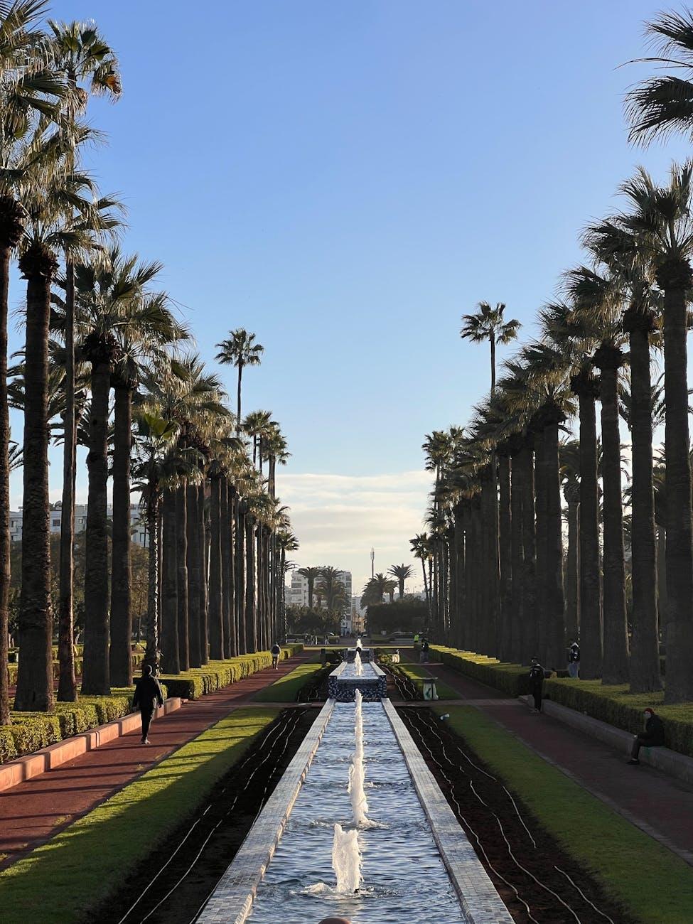 Palm-lined promenade with a long fountain walkway and a distant tower