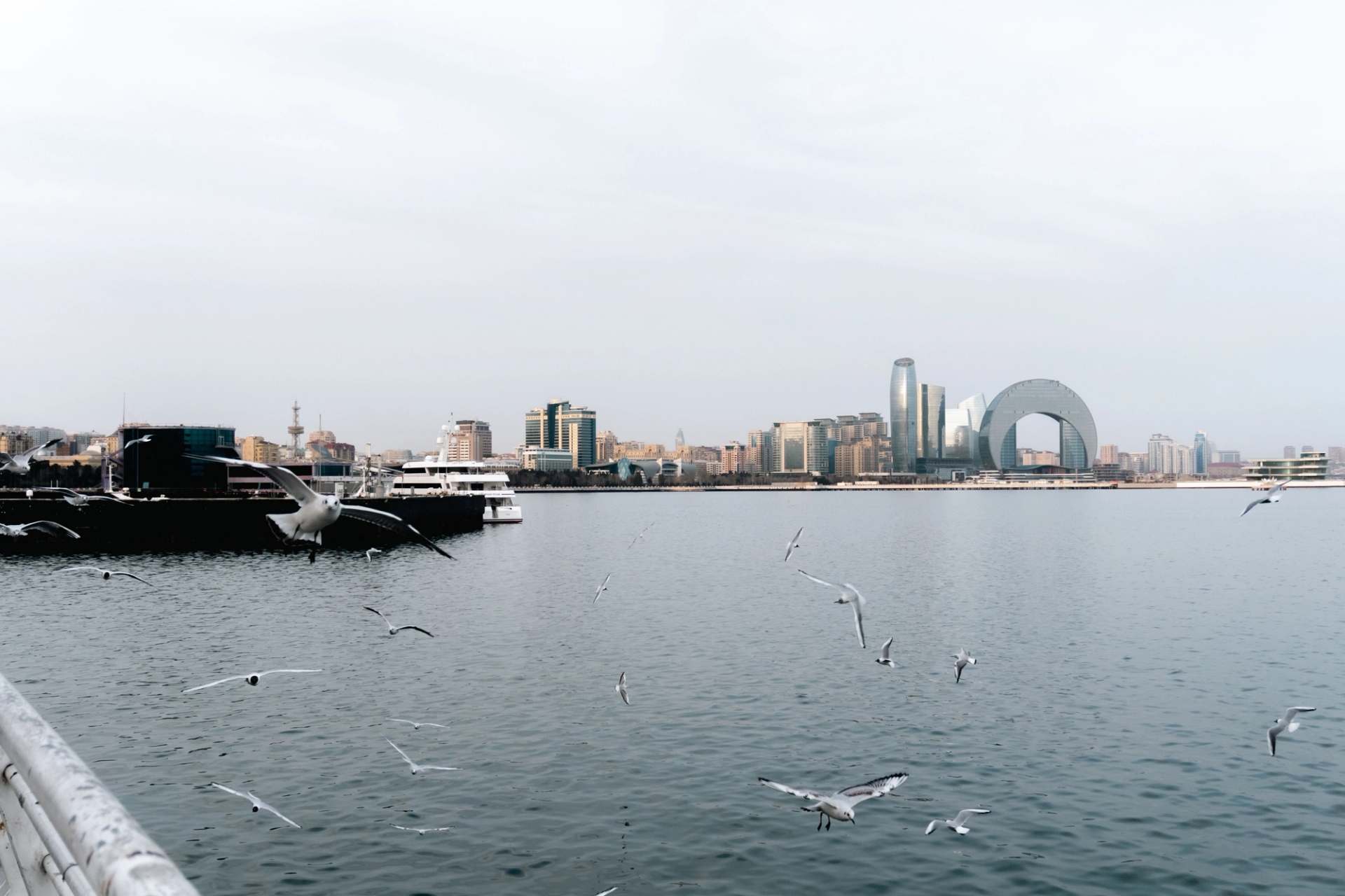 Seagulls fly over the calm waters of Baku with the city's modern skyline in view