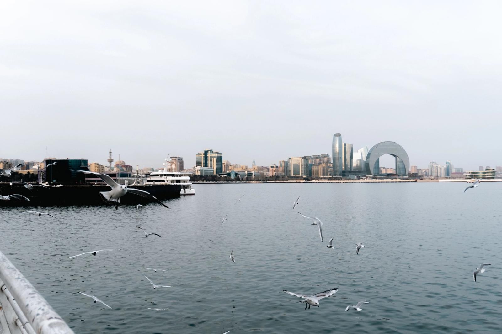Seagulls fly over the calm waters of Baku with the city's modern skyline in view