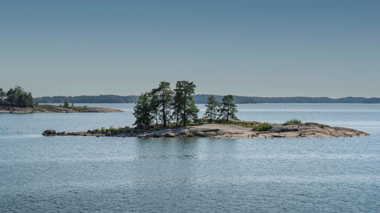 Peaceful island with trees in the Finnish archipelago during a bright summer day