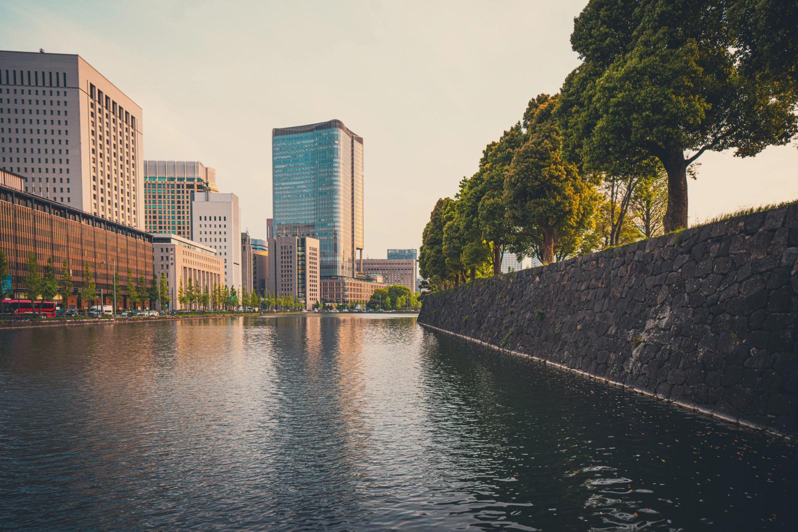 Tokyo skyline with modern buildings and lush greenery reflecting on calm water