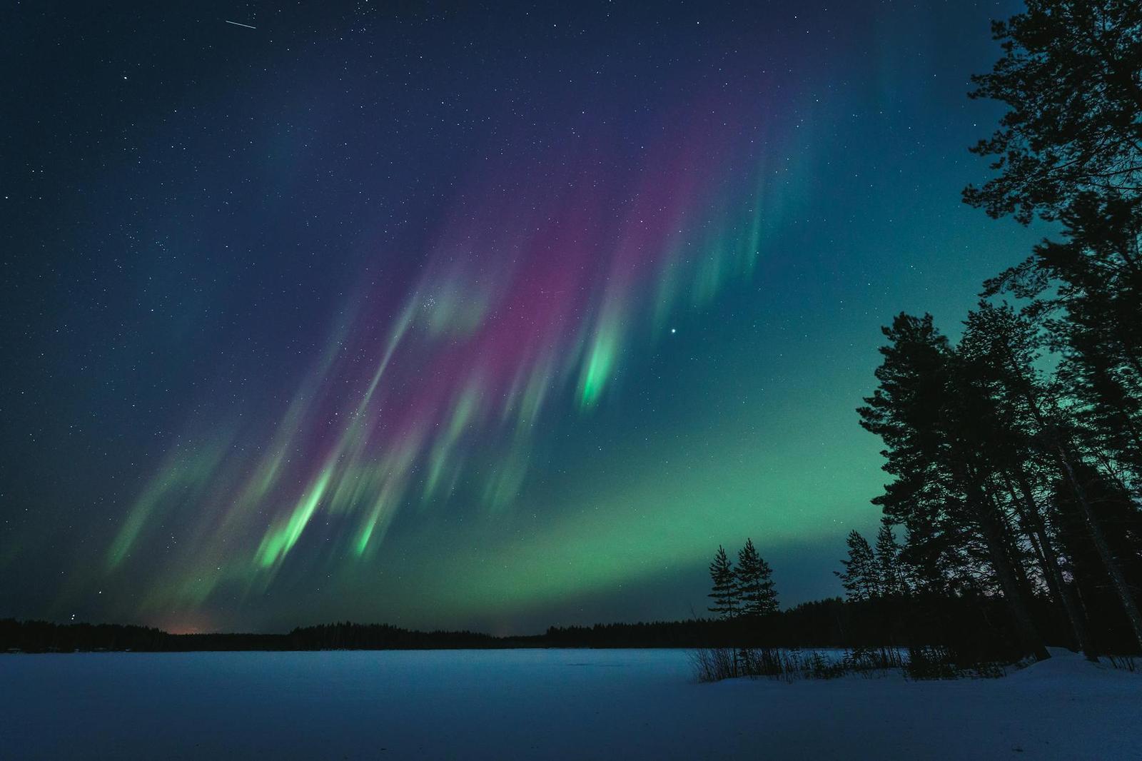 Pink and green aurora streaking above a frozen lake and pine trees
