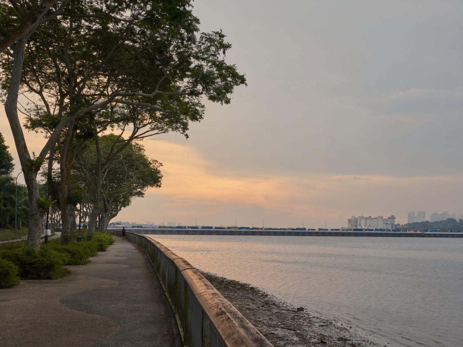 A serene evening view of a waterfront path lined with trees and cityscape in the distance