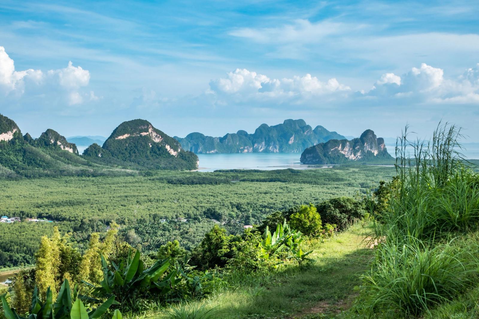 Breathtaking landscape view of Phang Nga Bay from a lush hillside in Phuket, Thailand