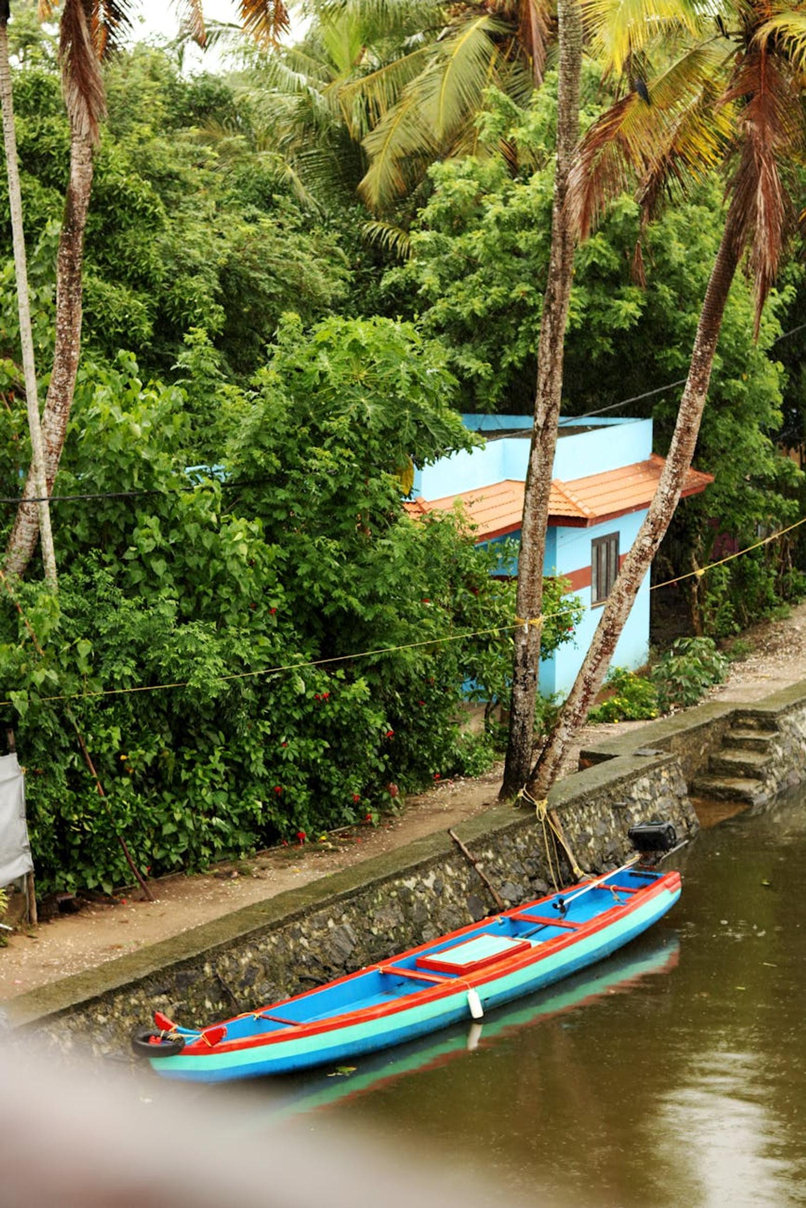 Vibrant blue canoe on Alappuzha canal, surrounded by lush tropical greenery, Kerala, India