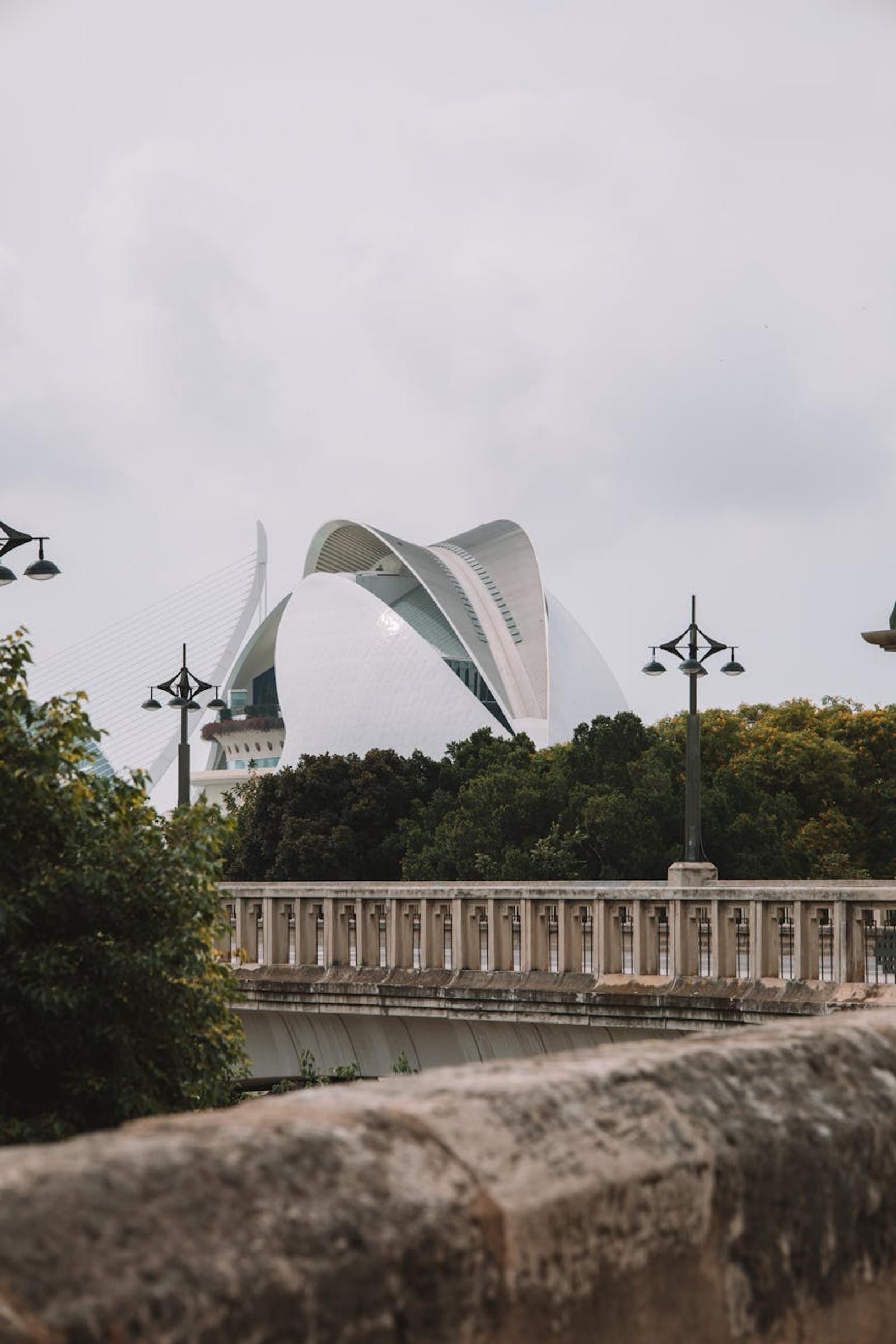 Vertical view of Queen Sofia Palace of Arts in Valencia