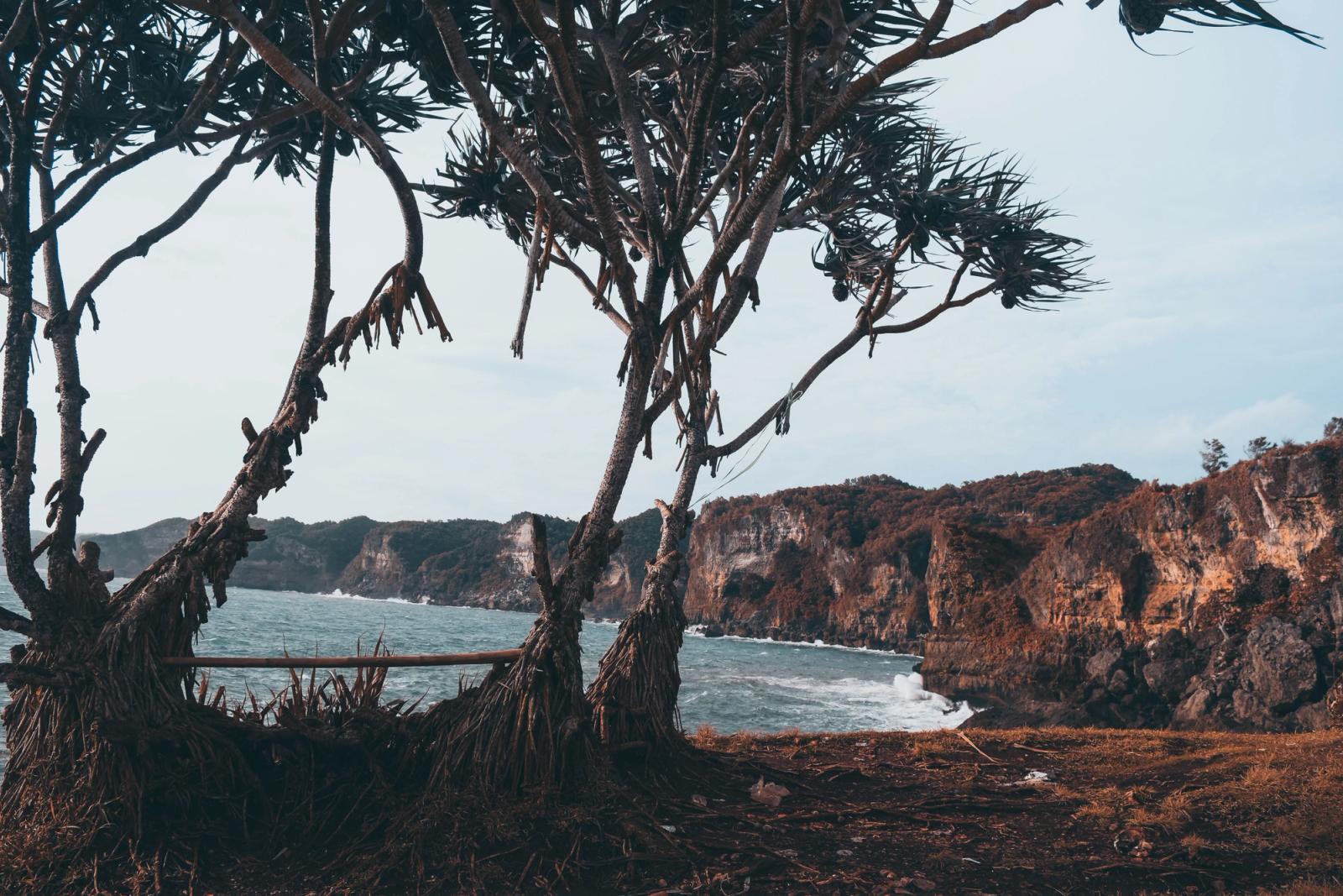 Idyllic coastal landscape in Jogja, Indonesia with unique rock formations and tropical trees framing the scene