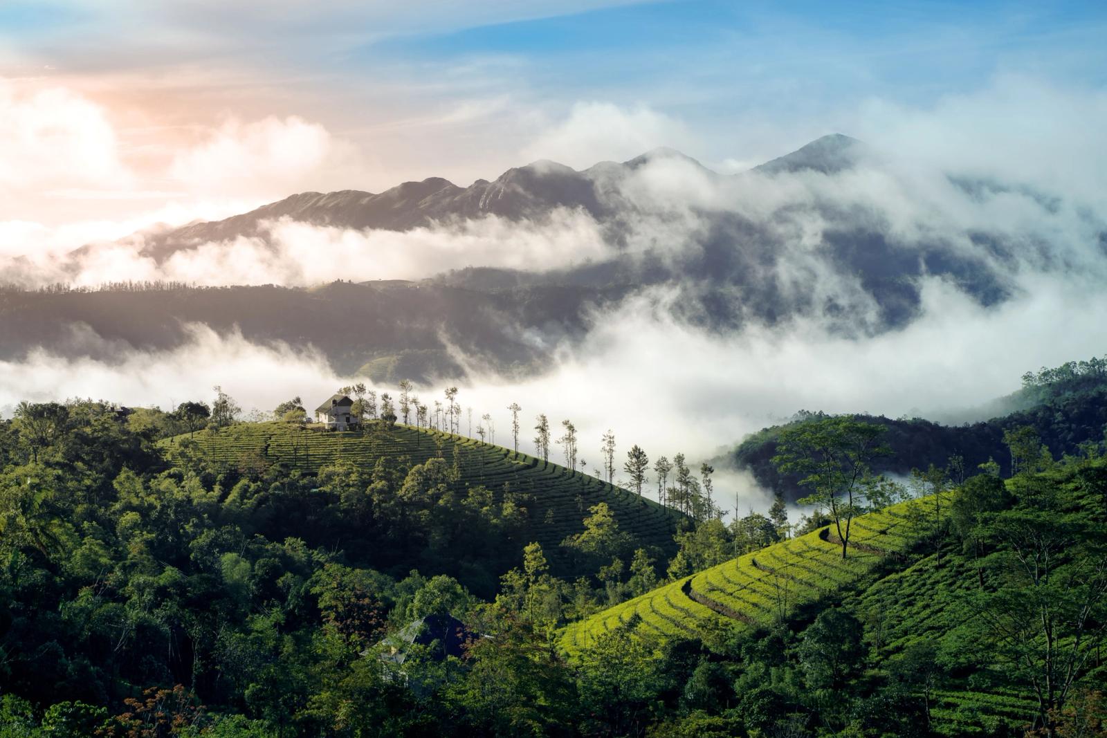 Breathtaking view of misty mountains and lush greenery in Vagamon, Kerala, India at sunrise