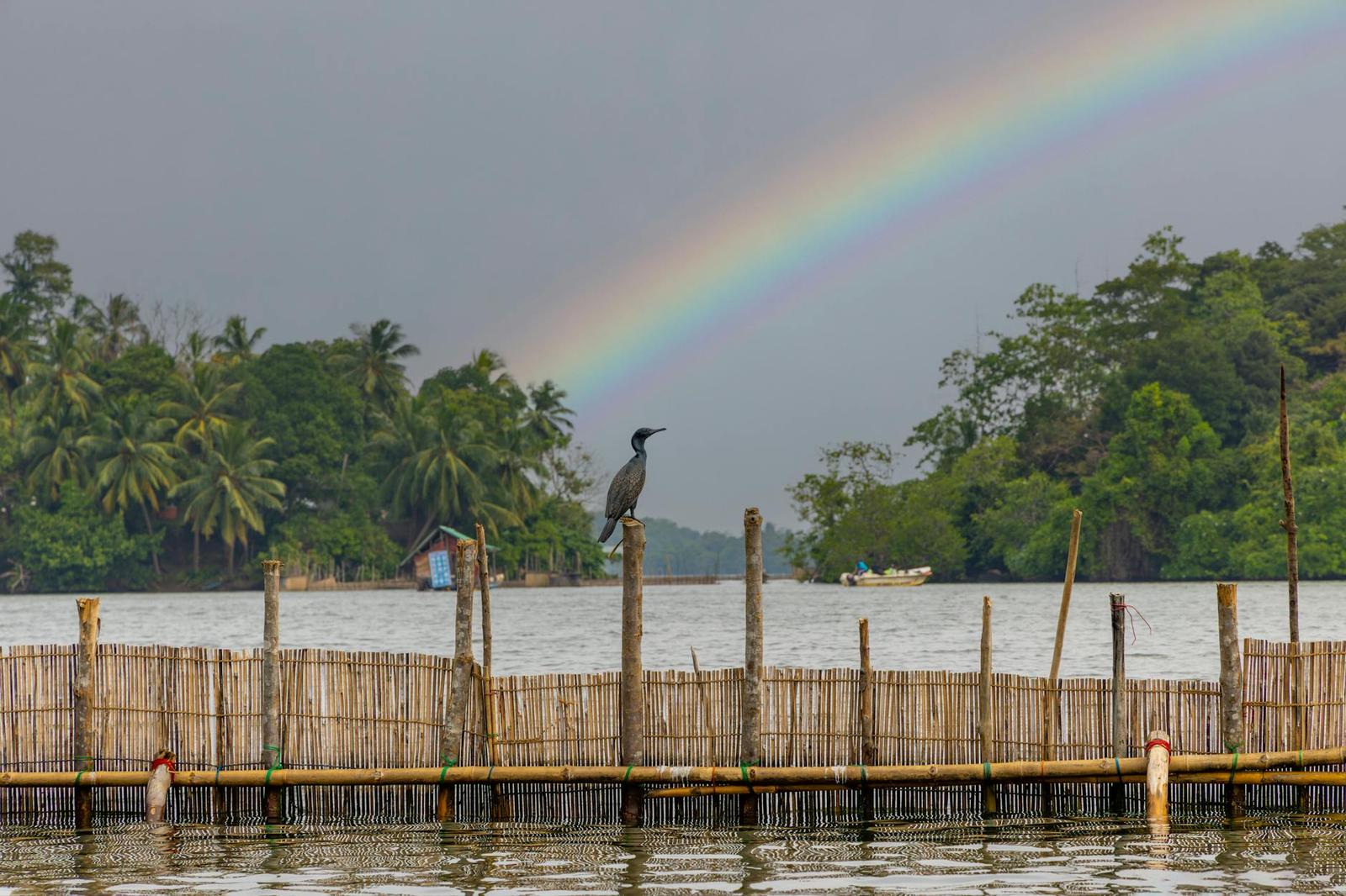 Bentota Madhu River, Sri Lanka