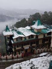 Snow Lotus, Shimla