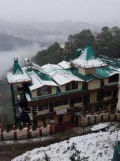 Snow Lotus, Shimla