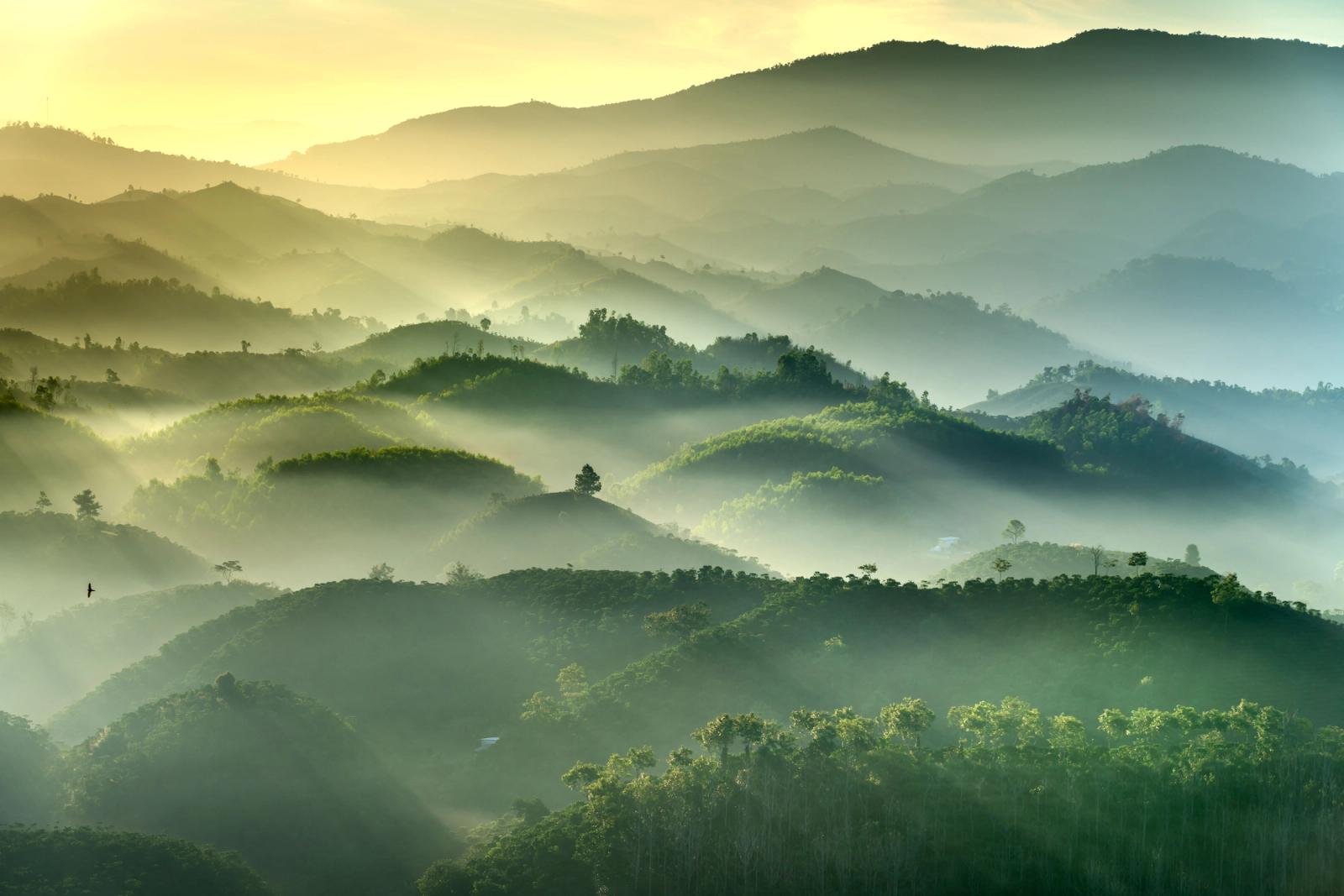 Layered hills wrapped in mist under a golden sunrise glow