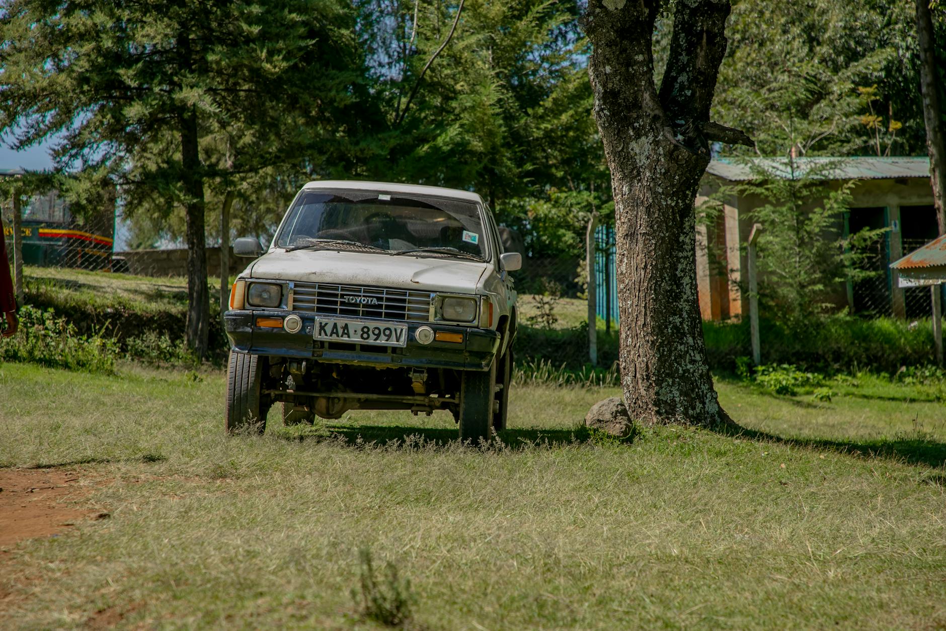 Aberdare on day 1, Kenya