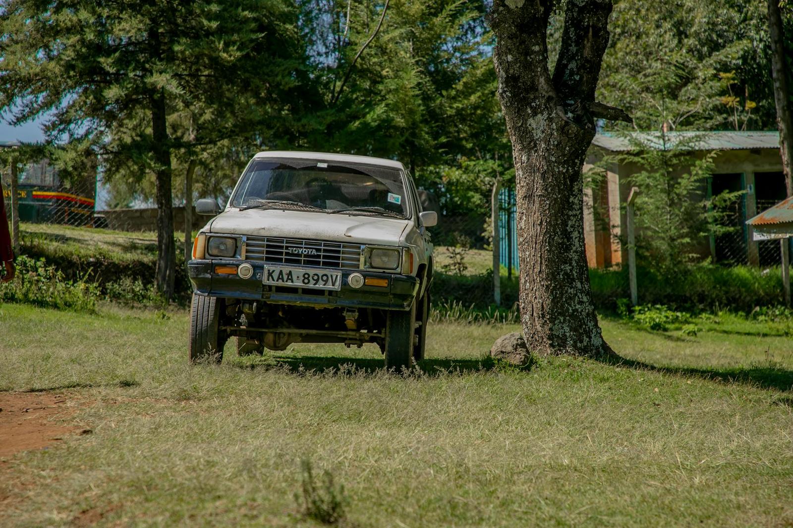 Aberdare on day 1, Kenya