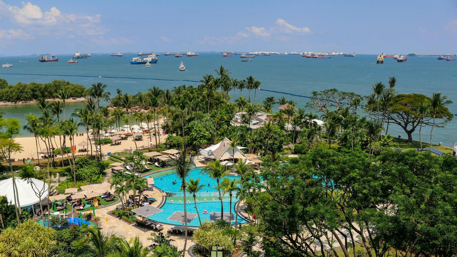 Aerial view of resort pools and palm trees beside the coastline