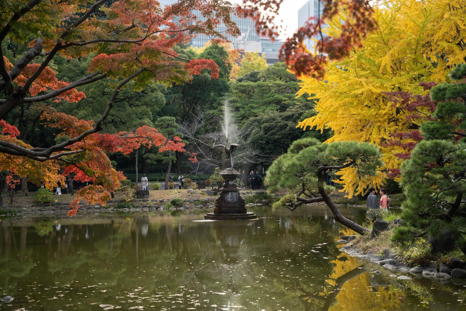 Tranquil autumn scene in Chiyoda City, Tokyo with colorful foliage and reflection in a pond