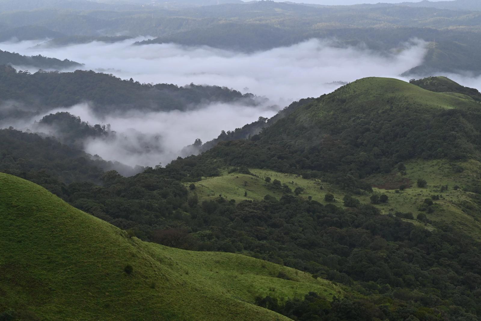 Explore the lush, mist-covered hills of Ooty, Tamil Nadu, India
