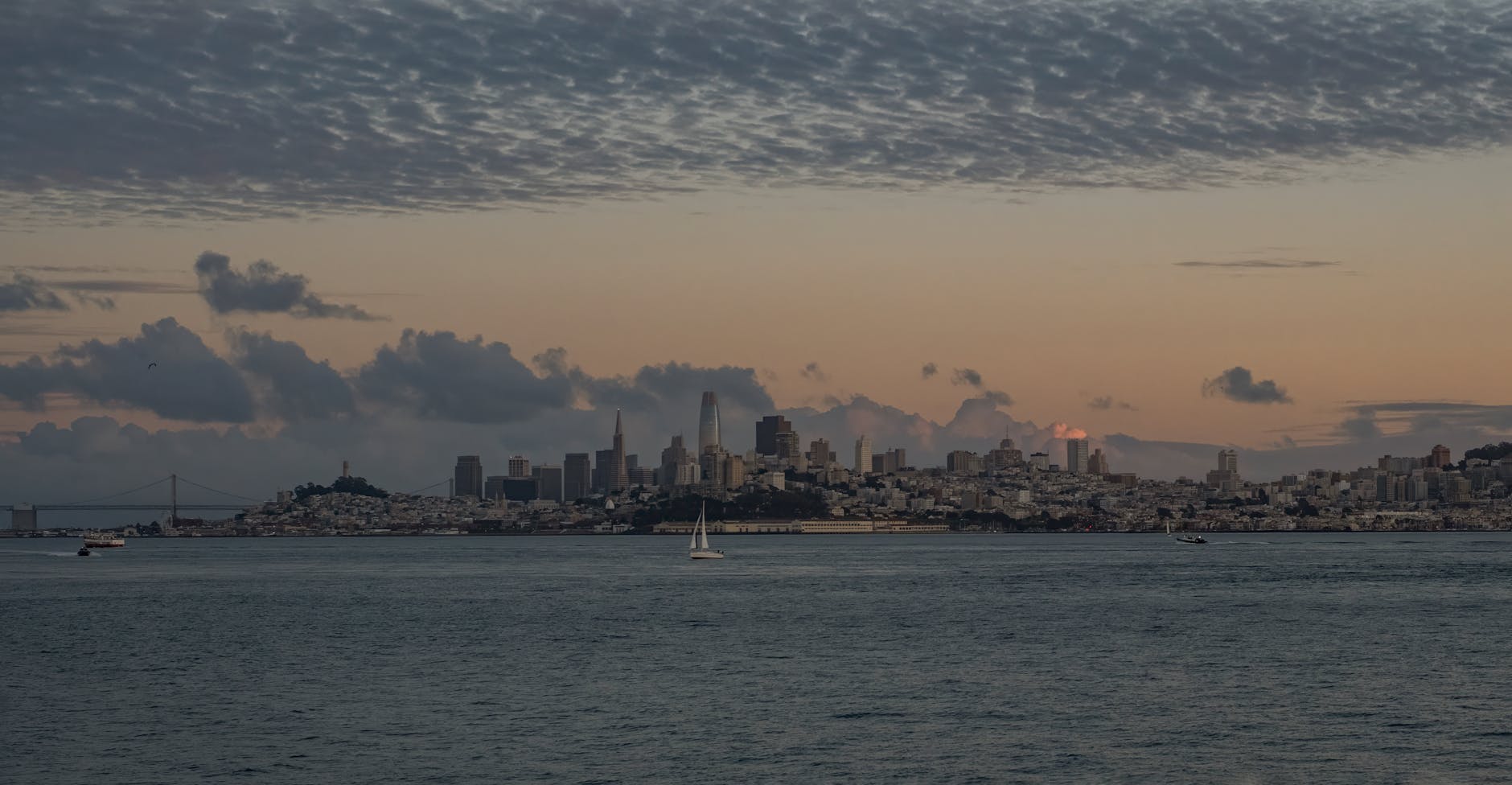 Among — San Francisco, USA
