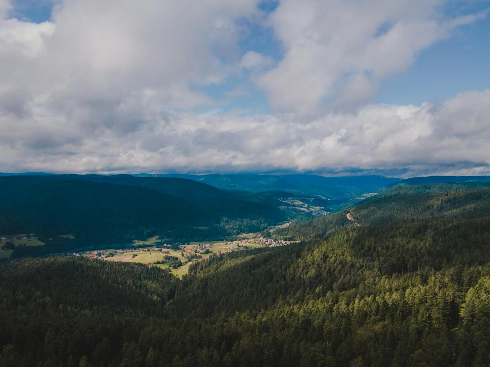 Black Forest Tour From Baden-Baden, Switzerland + Germany