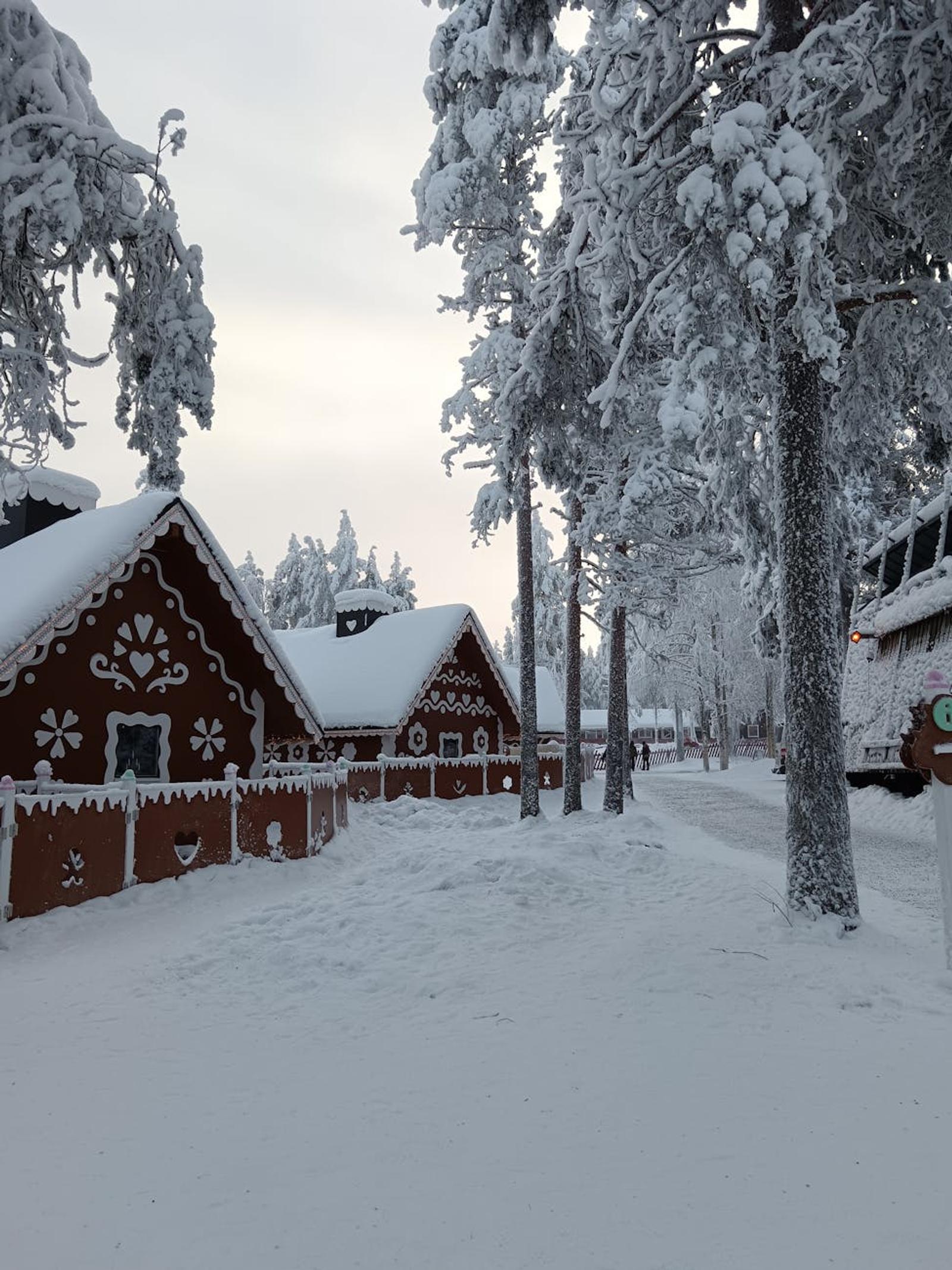 Snow-dusted timber cabins lining a lane framed by frosted trees