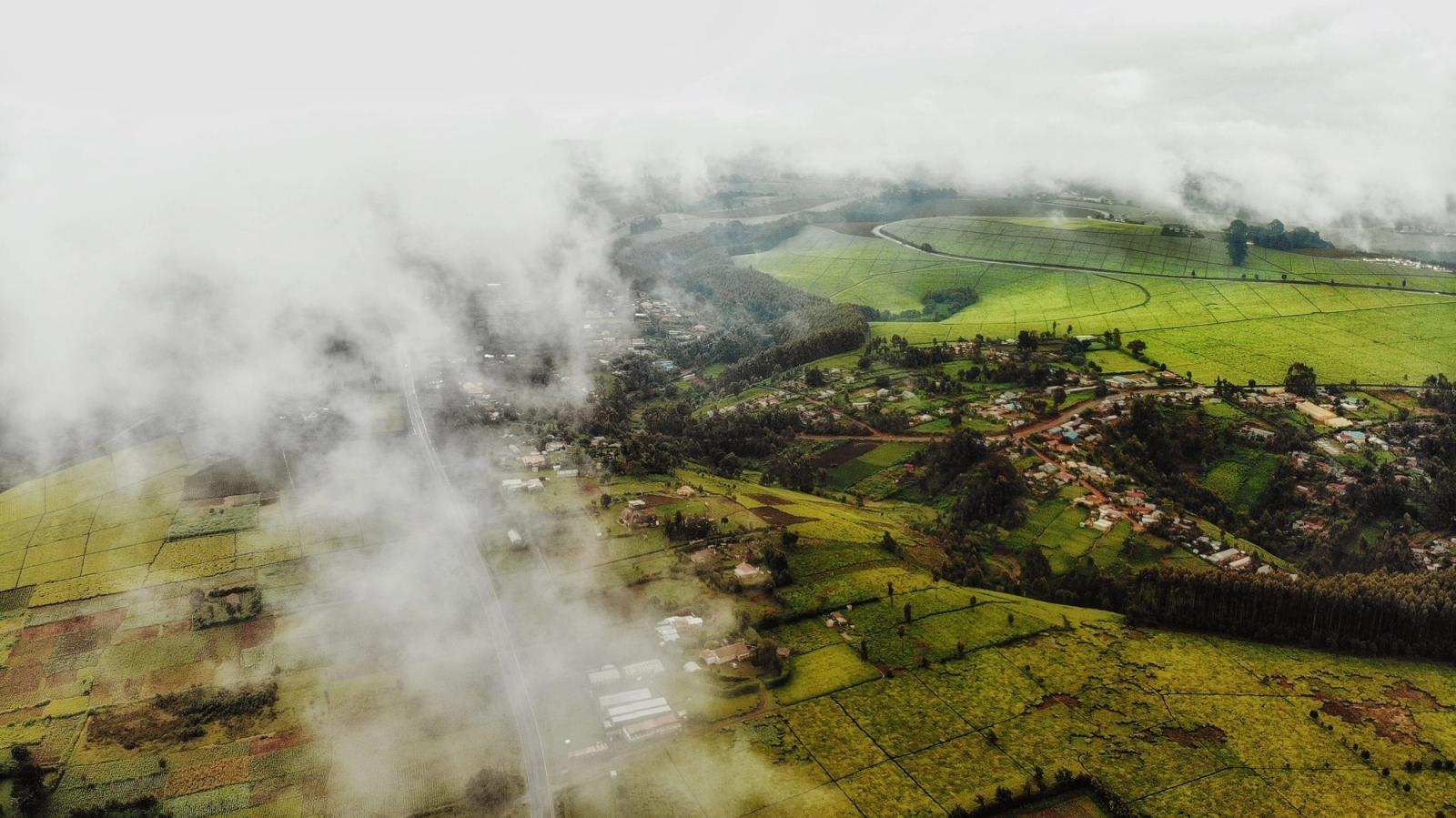 Drone view of green plantations and fields near village with buildings and trees in summer day under cloudy sky