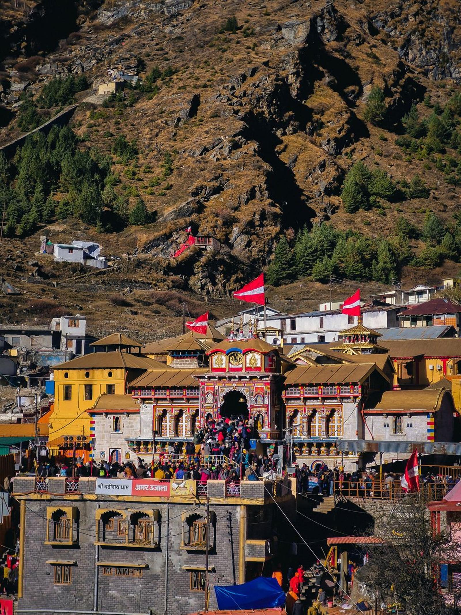 Badrinath VIP Darshan — Uttarakhand, India