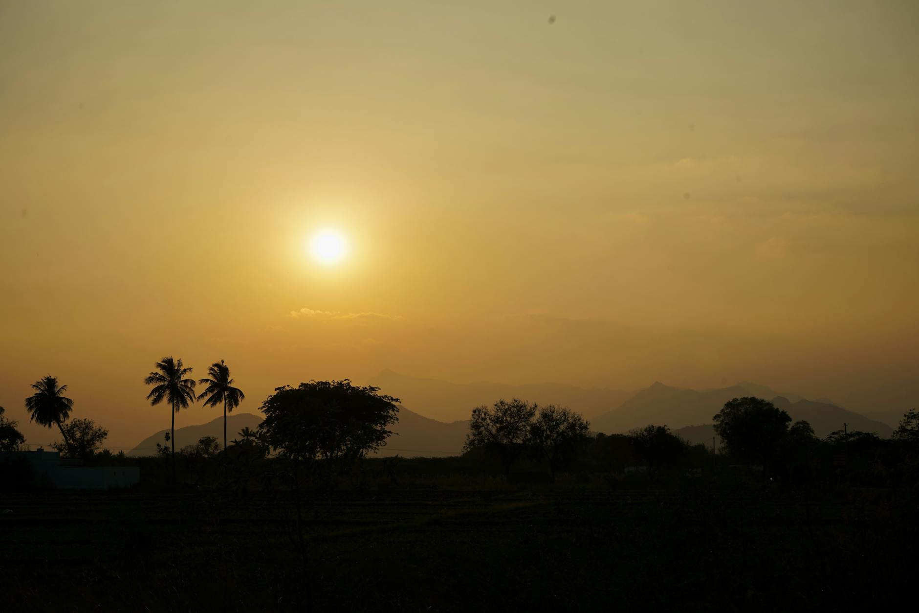 India at golden hour