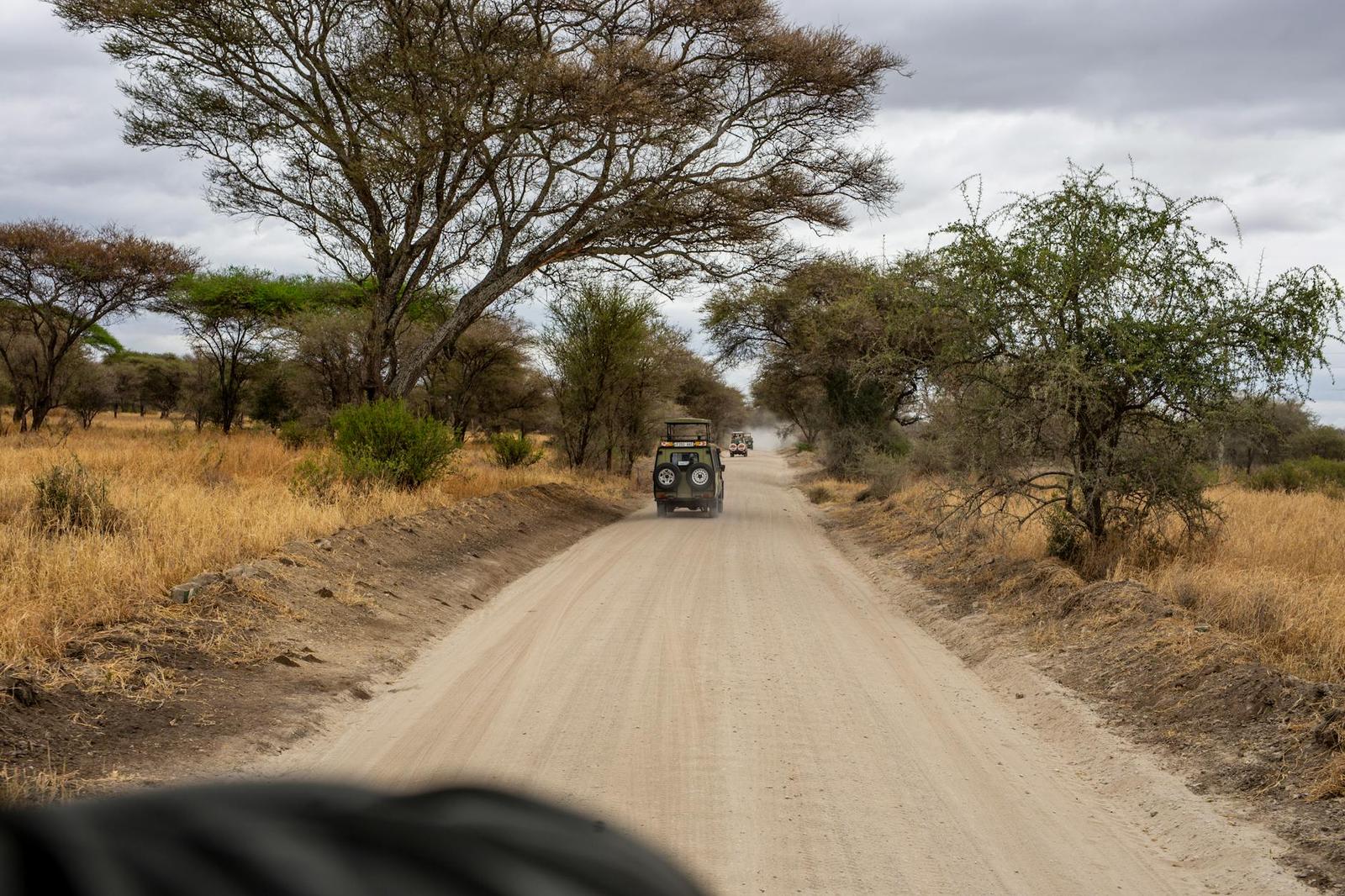 Safari jeep on the savanna at dusk, Kenya