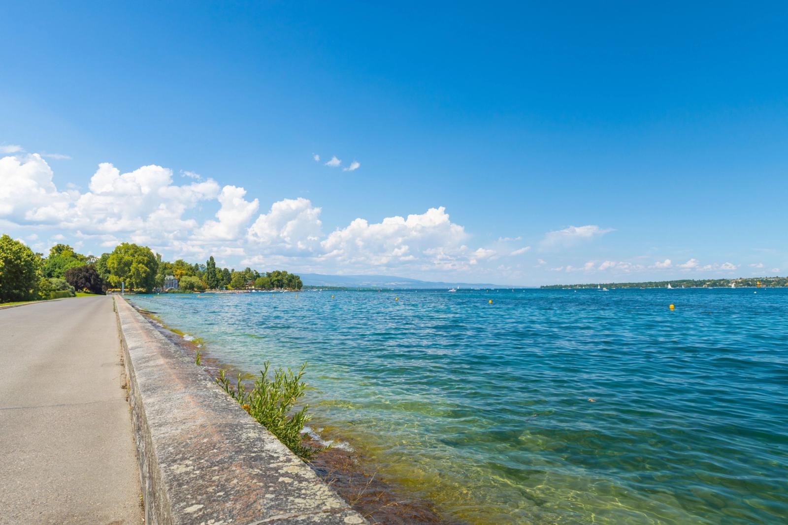 Experience the tranquil scenery of Lake Geneva's shoreline on a sunny summer day in Geneva, Switzerland