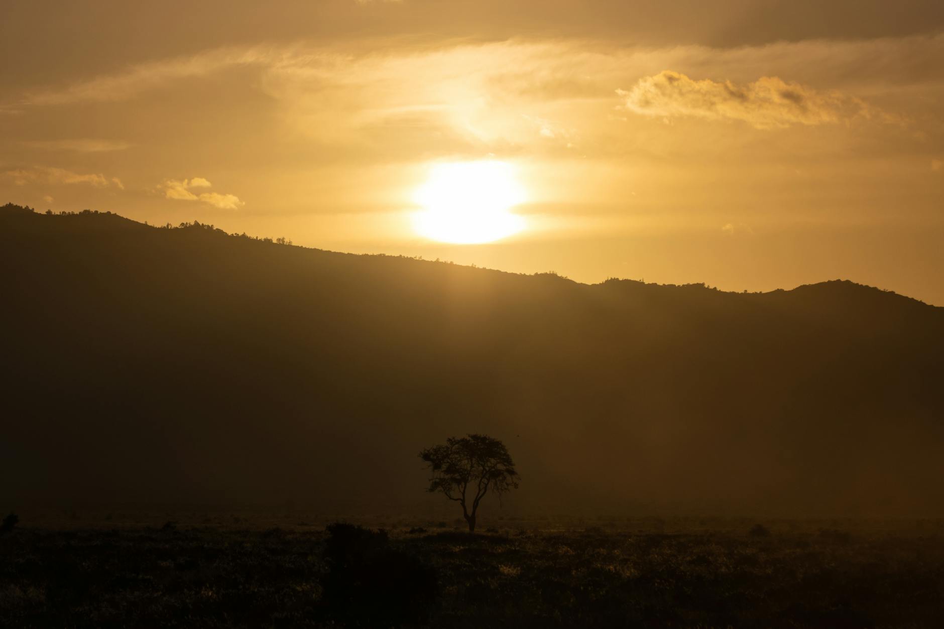 Kenyan Adventure: 2N Nairobi + 3N Masai Mara