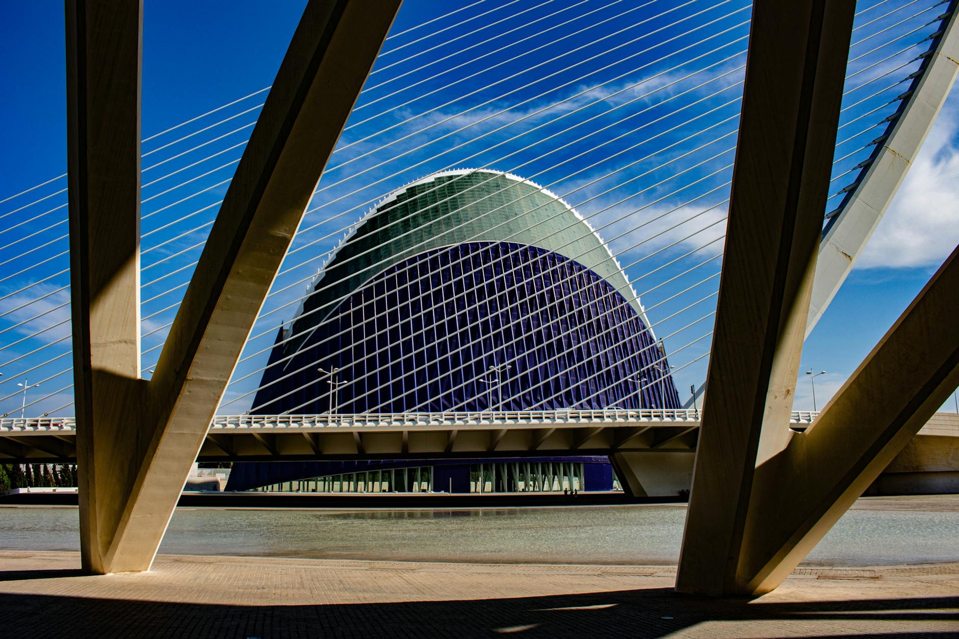 A curved glass-and-steel building framed by angled white bridge beams