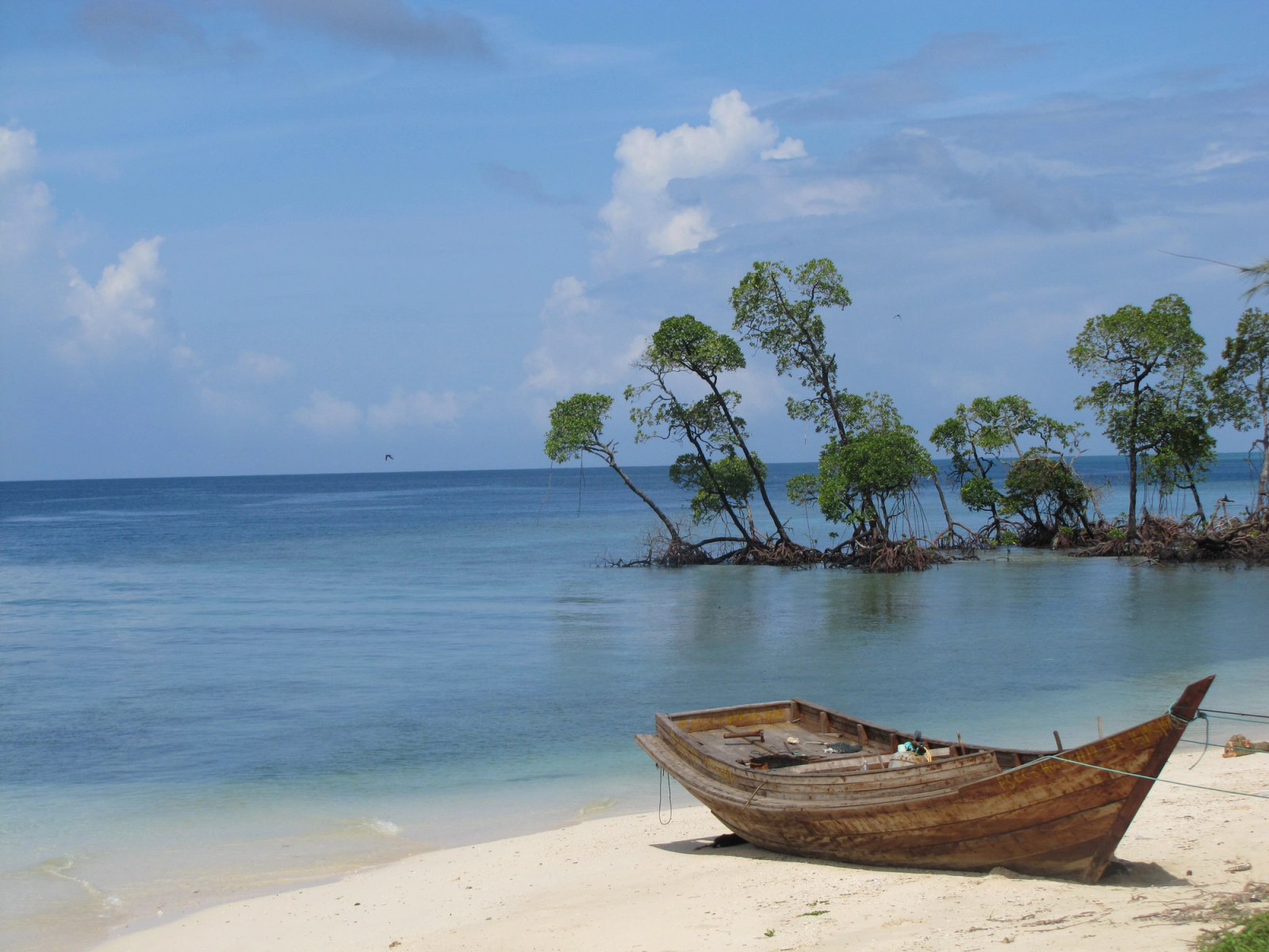 Weathered wooden boat resting on white sand beside mangrove trees