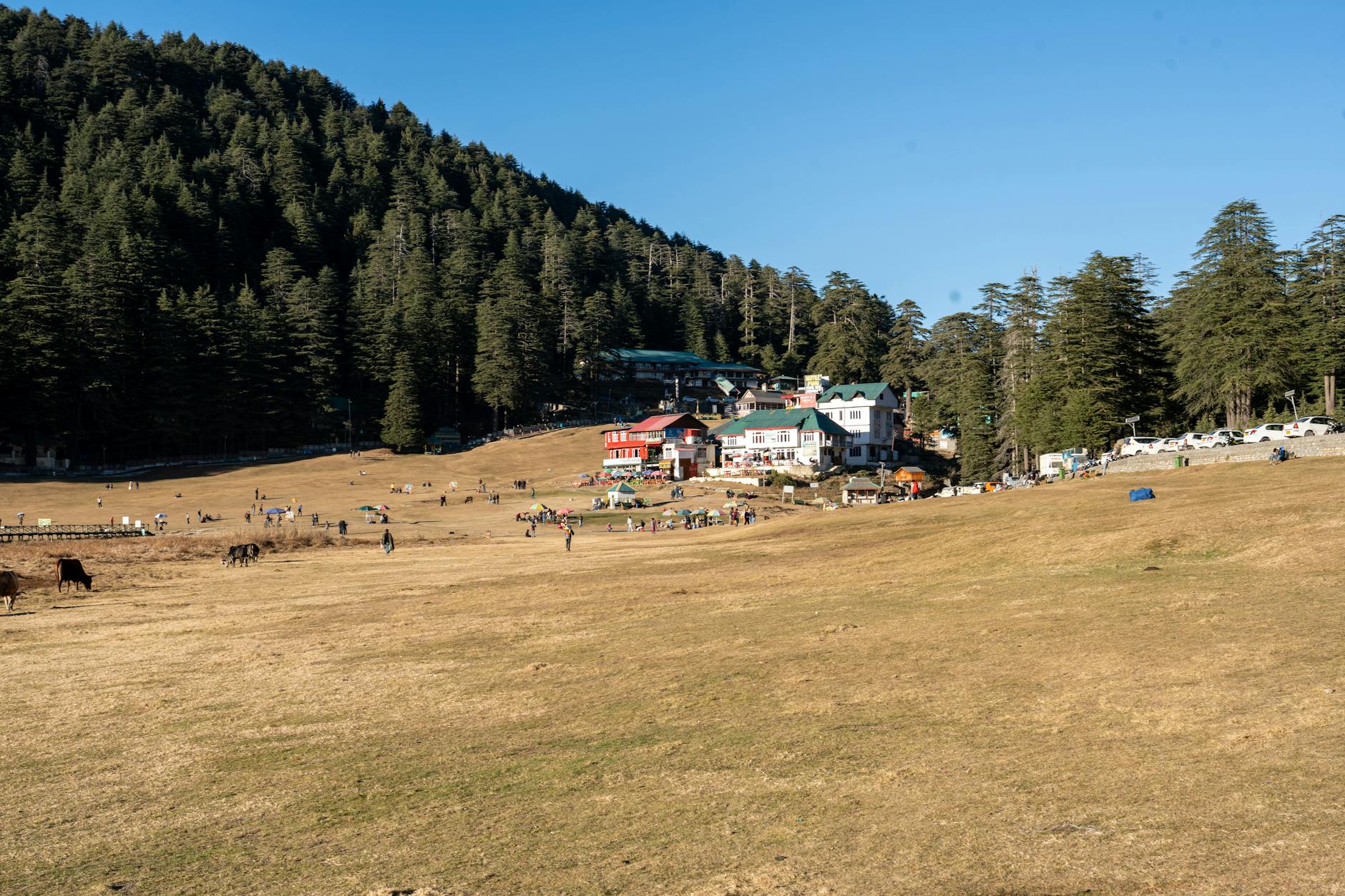 Khajjiar — Mini Switzerland, India