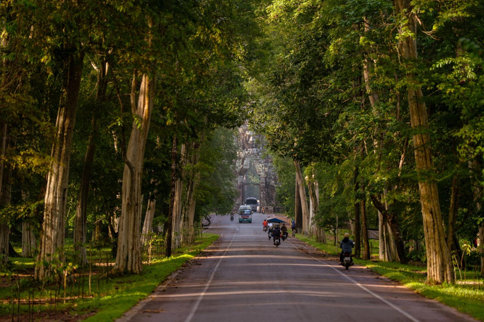 A vibrant road flanked by lush trees leads to the majestic Angkor Wat in Siem Reap, Cambodia