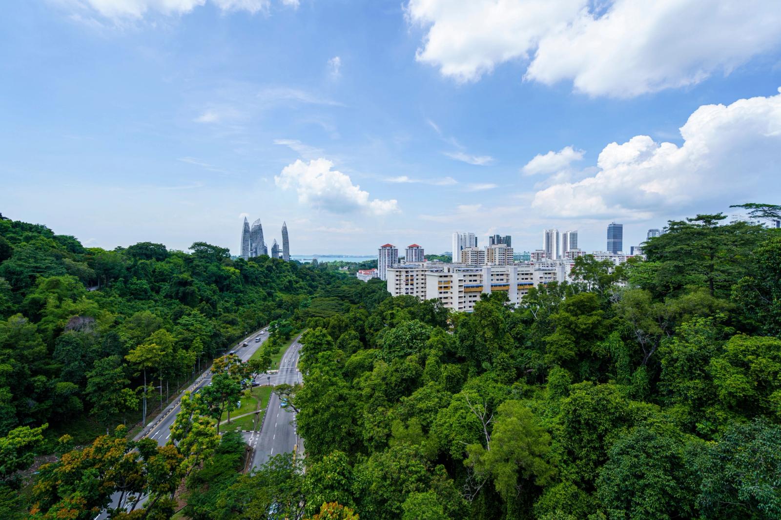Aerial view of a vibrant cityscape blending greenery and modern architecture