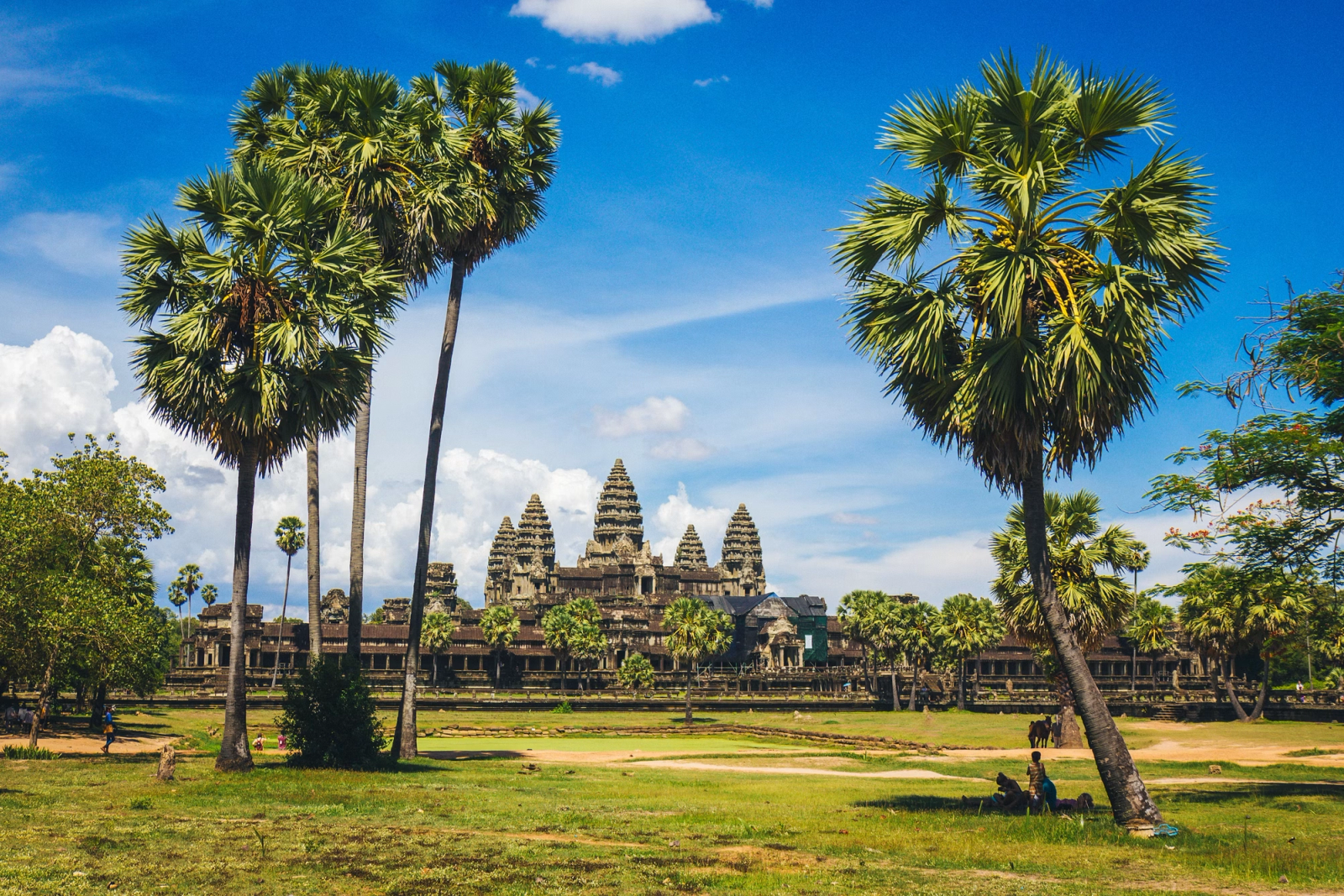 Angkor Wat's temple towers framed by tall sugar palms under a blue sky