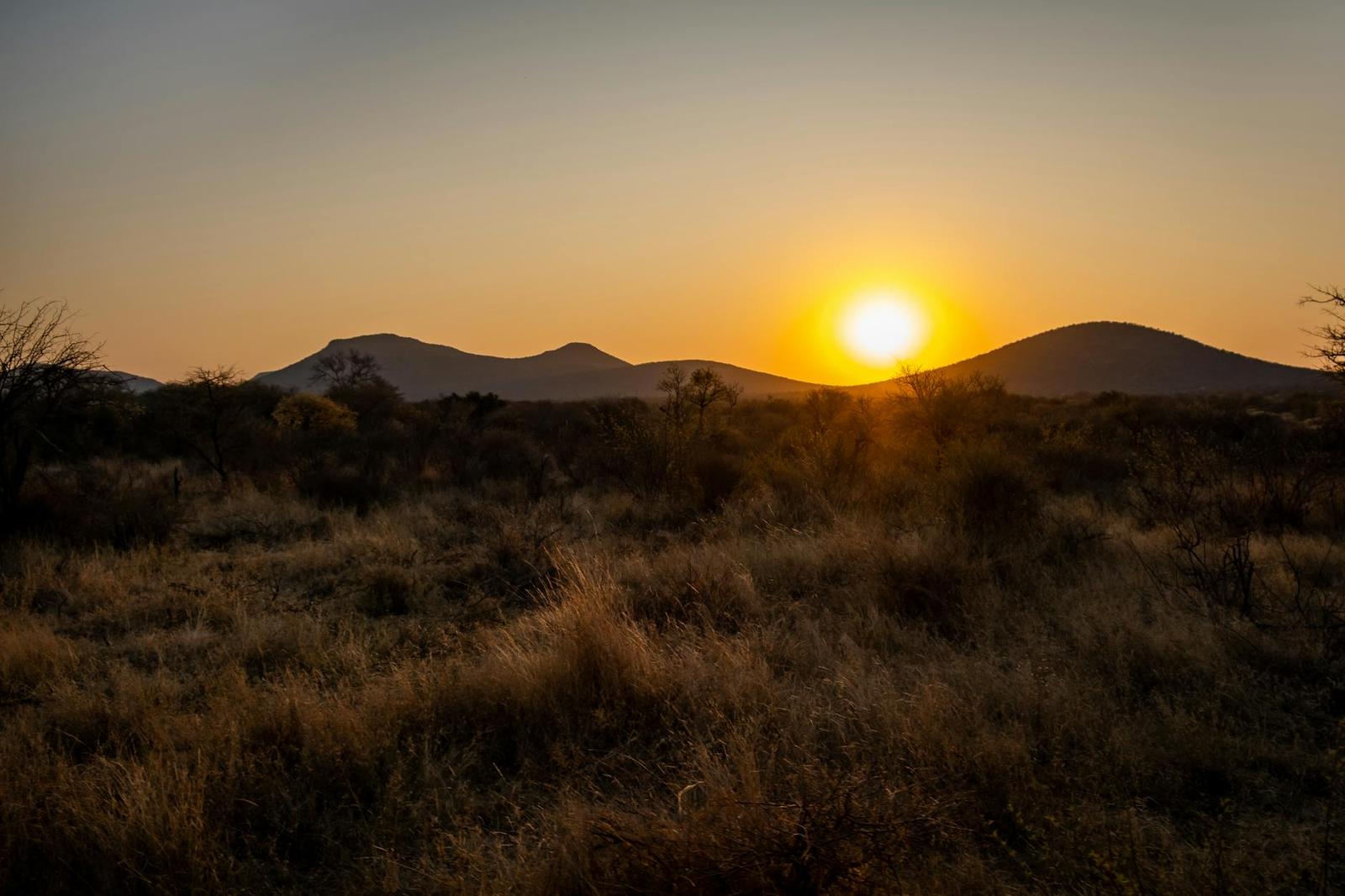 South African Adventure: Cape Town + Knysna + Amakhala + JHB