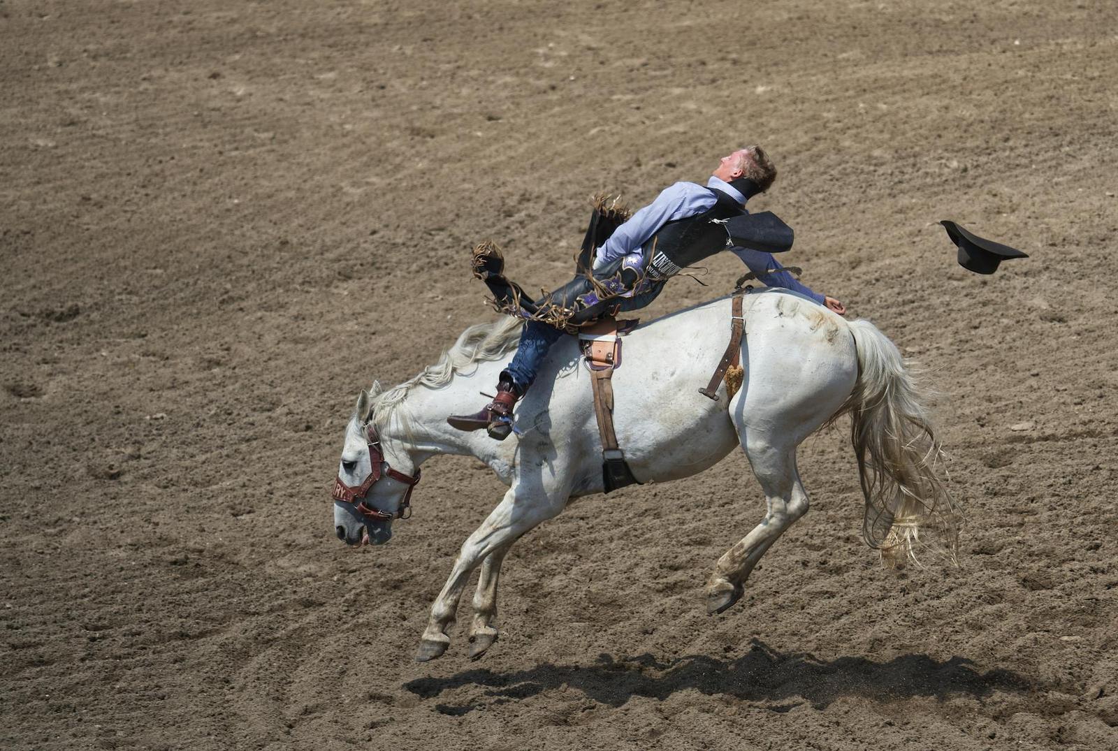 Eight seconds — Calgary Stampede, Canada