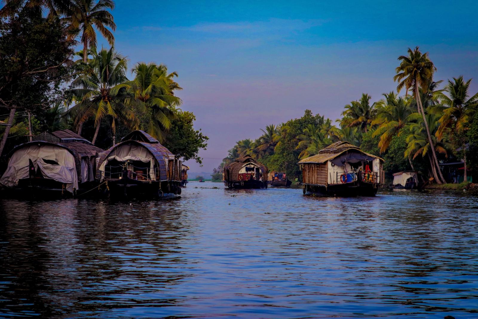 Traditional houseboats cruise through lush palm-lined backwaters in Kerala, India