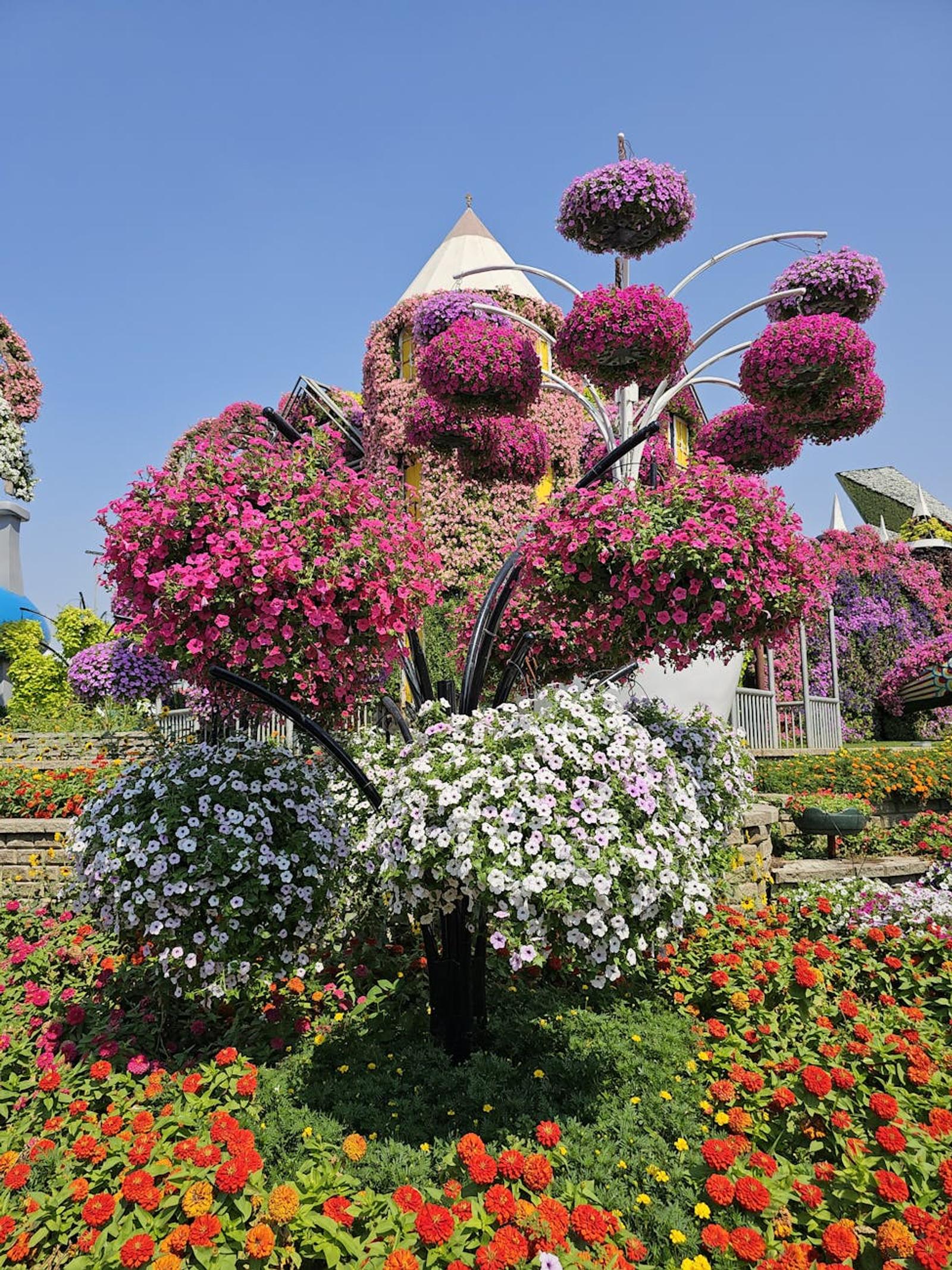 Miracle Garden Global Village — UAE