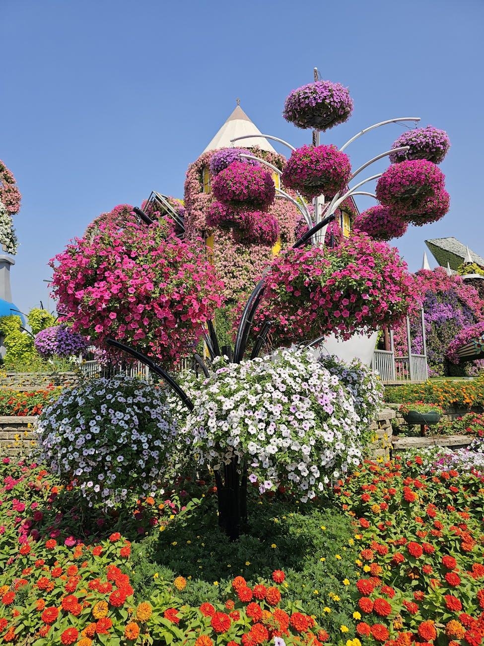 Miracle Garden Global Village — UAE