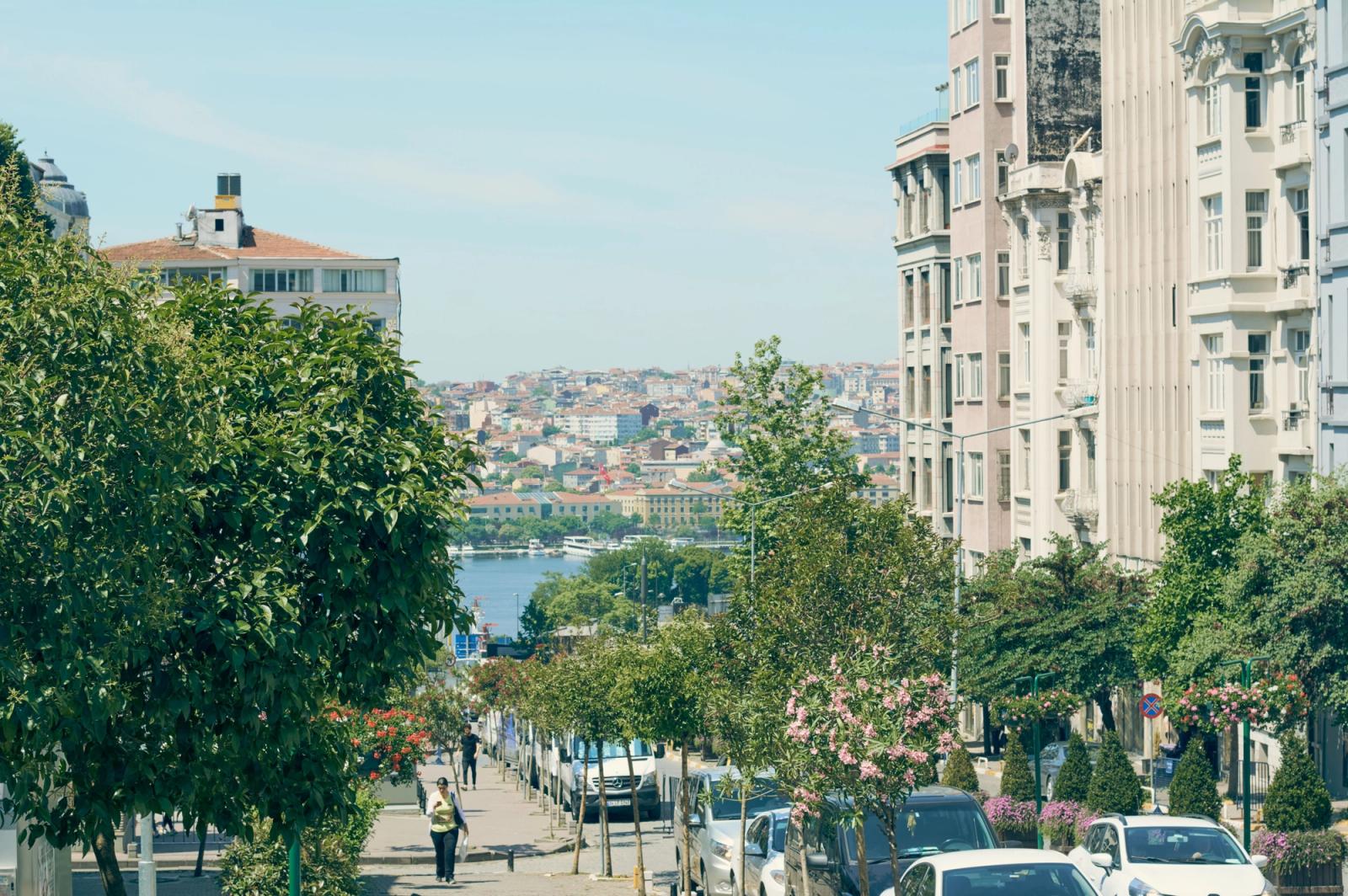 Charming street in Istanbul with view of the Bosphorus, showcasing classic architecture and seasonal greenery