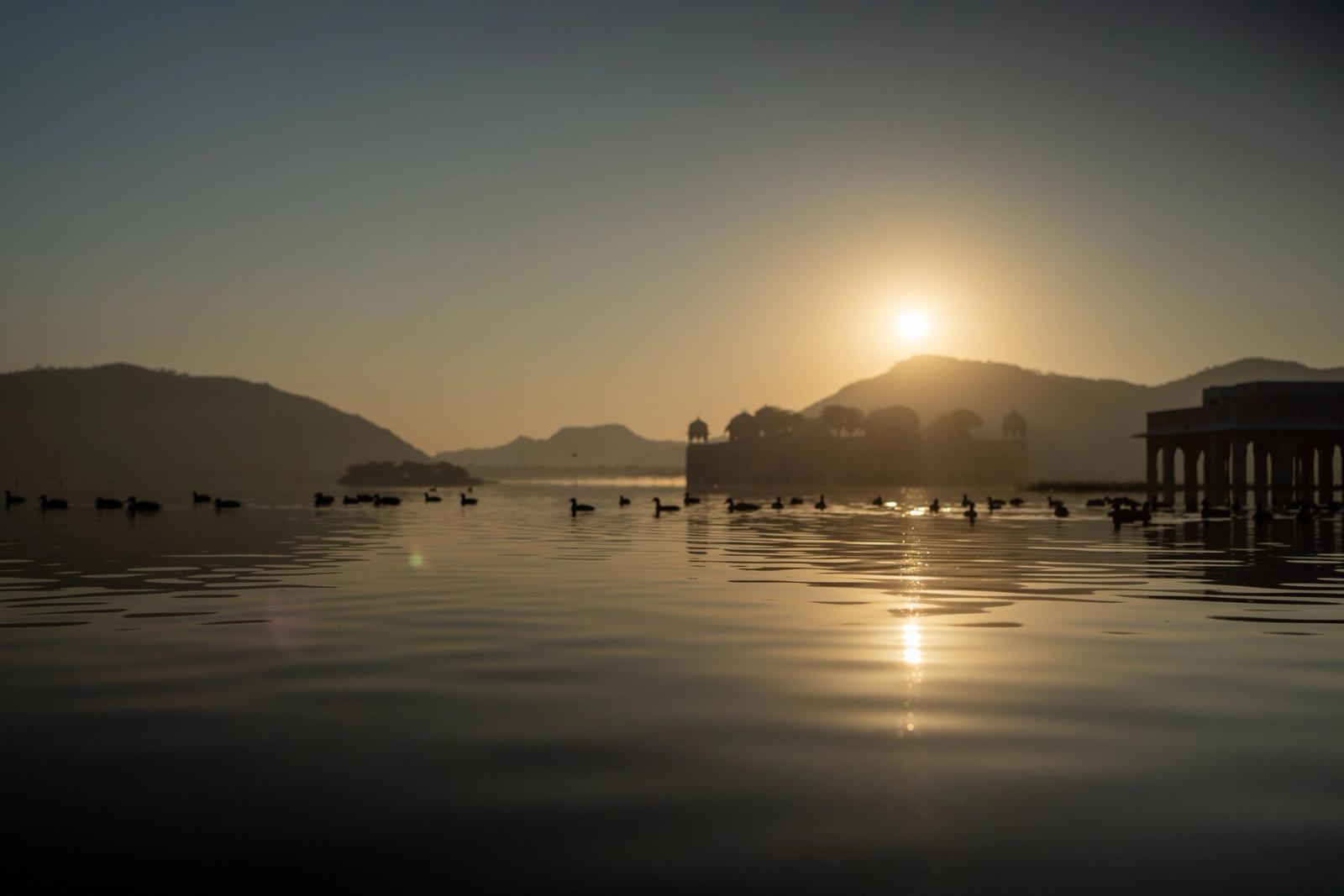 Silhouetted ducks glide on the serene waters of Jal Mahal at sunrise in Jaipur, India
