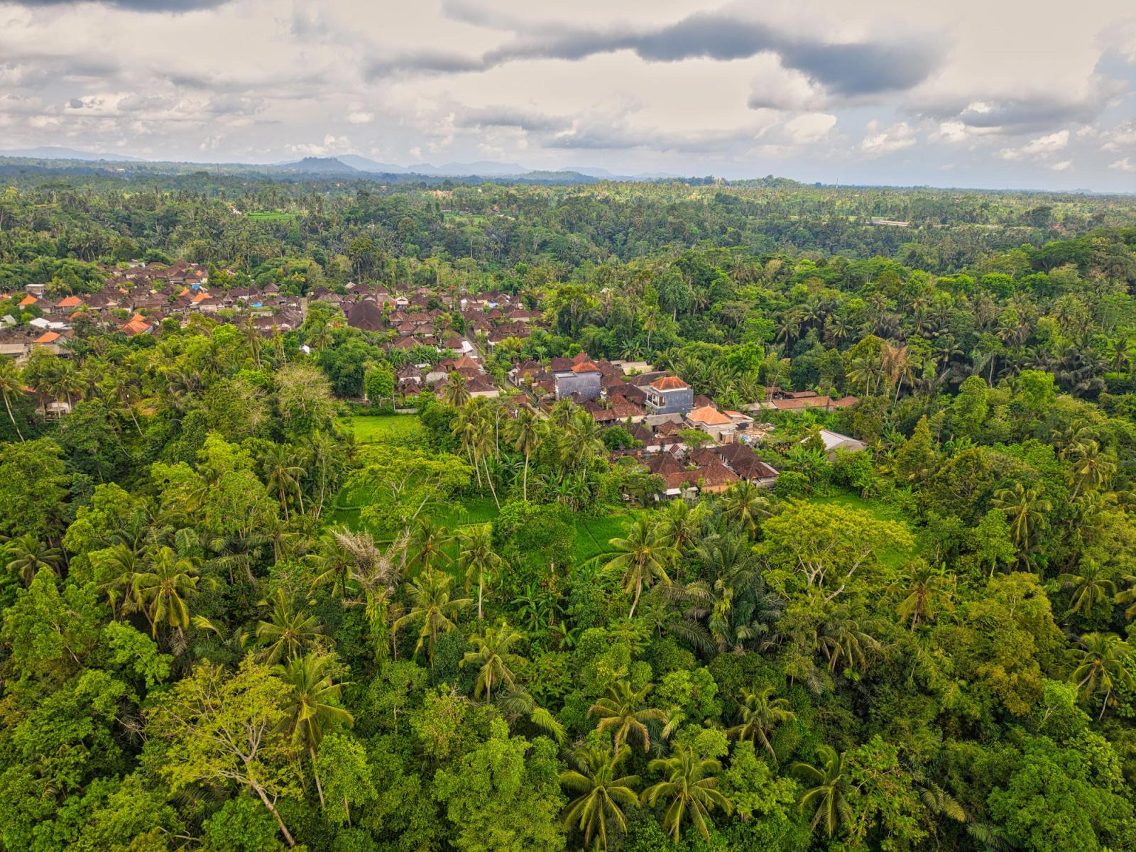 Stunning aerial shot of lush forest and a traditional village in Bali, Indonesia