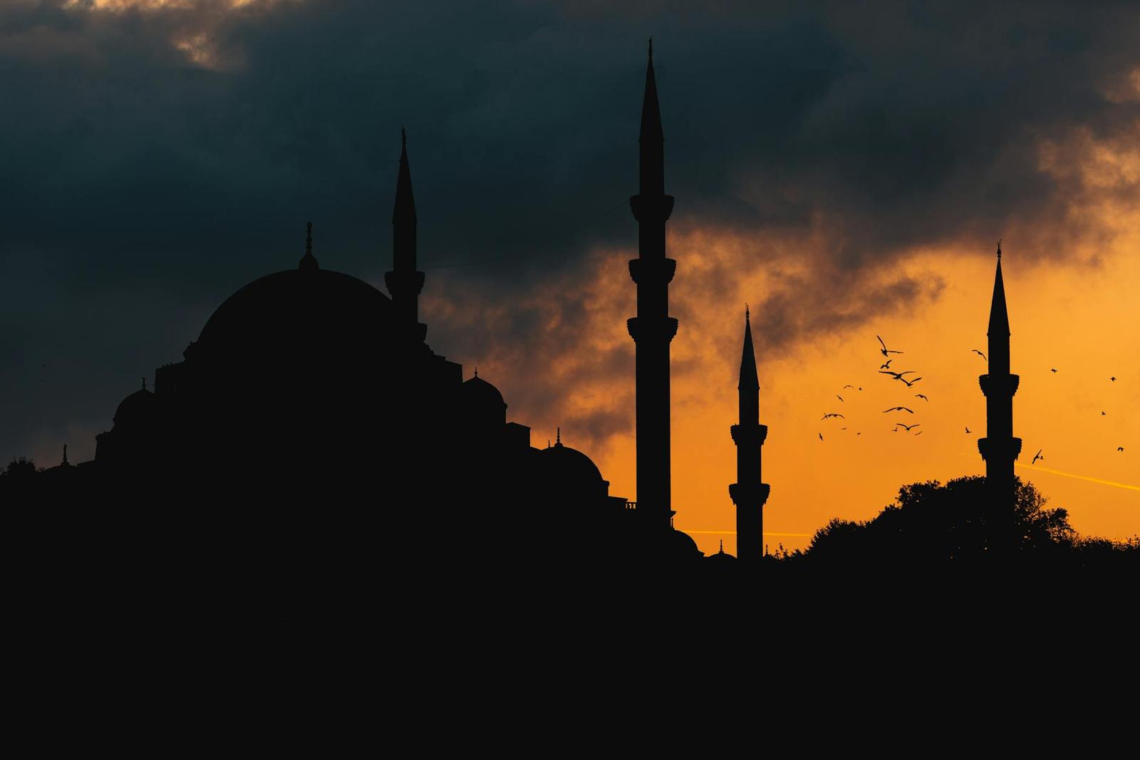 Mesmerizing Turkey 8N