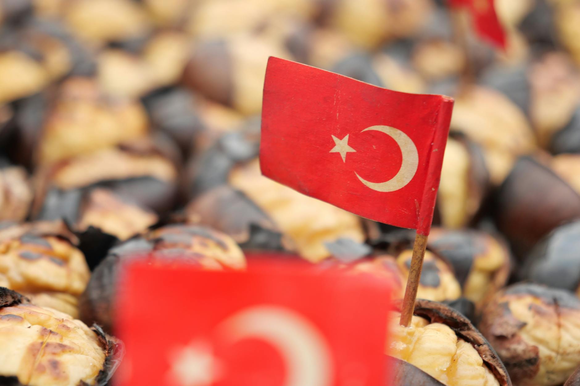 Traditional food of Turkey