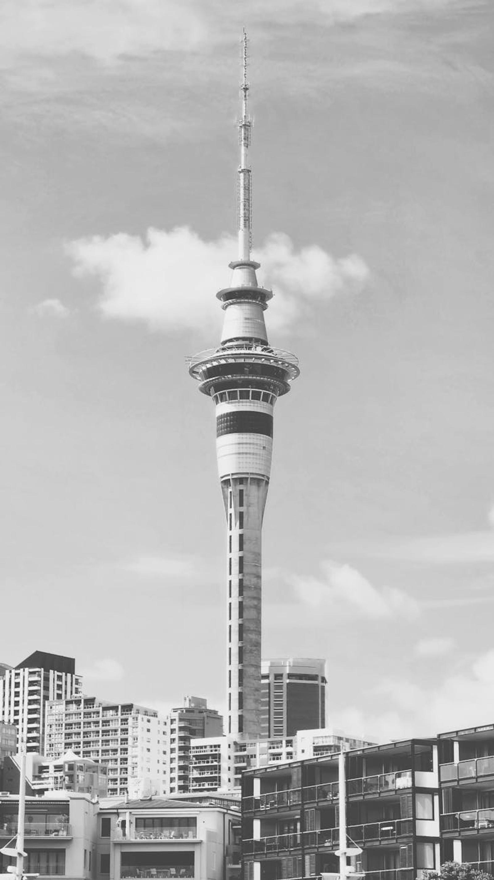 Black and white view of the iconic Sky Tower amidst Auckland's modern skyline