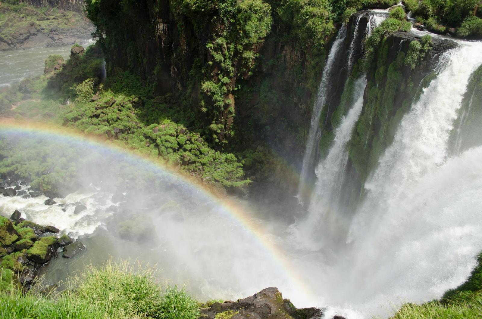 Iguazu Falls on day 8, Peru + Argentina + Brazil