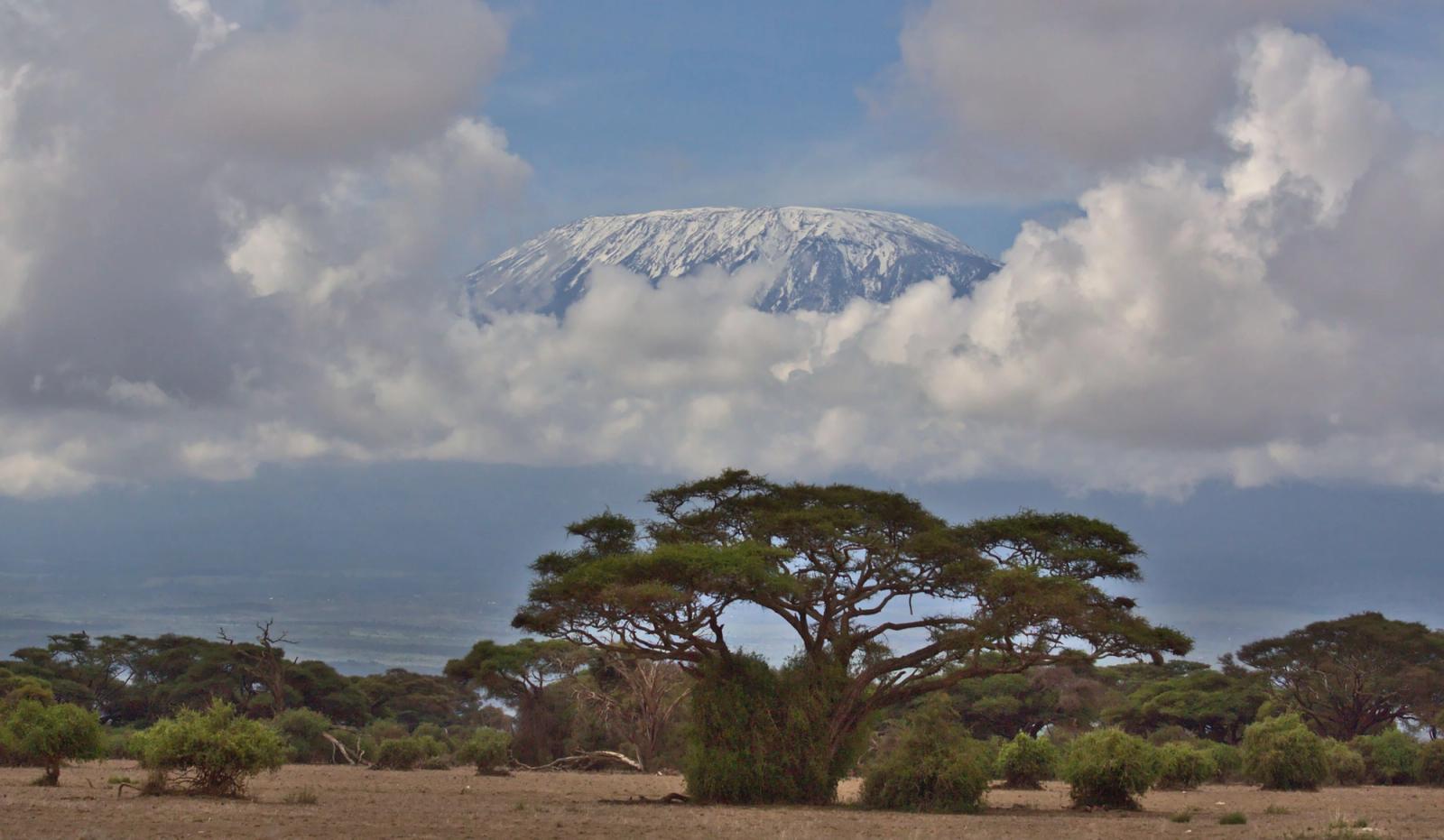 Scenic view of snowcapped Mount Kilimanjaro amidst clouds and acacia trees